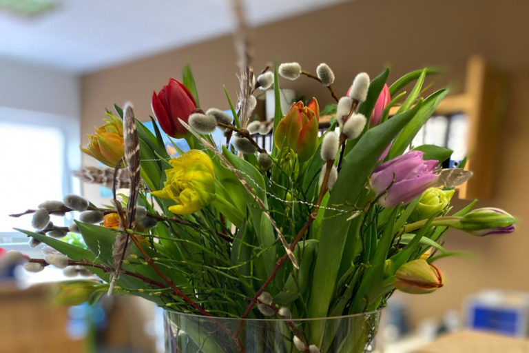 Weltfrauentag_hmsteuer