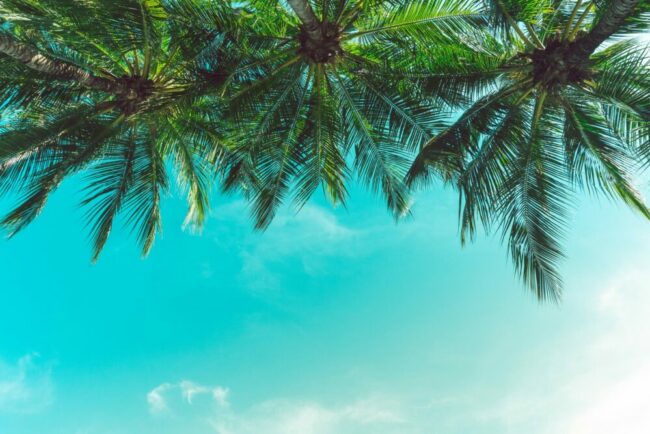 Stressfeier Urlaub